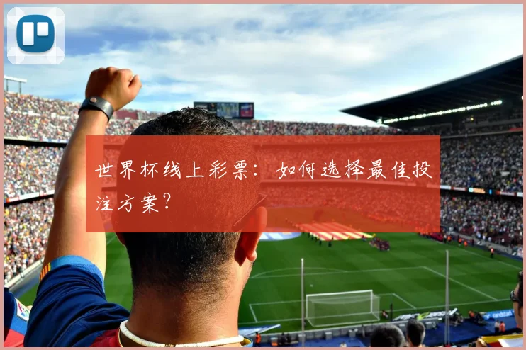 世界杯线上彩票：如何选择最佳投注方案？